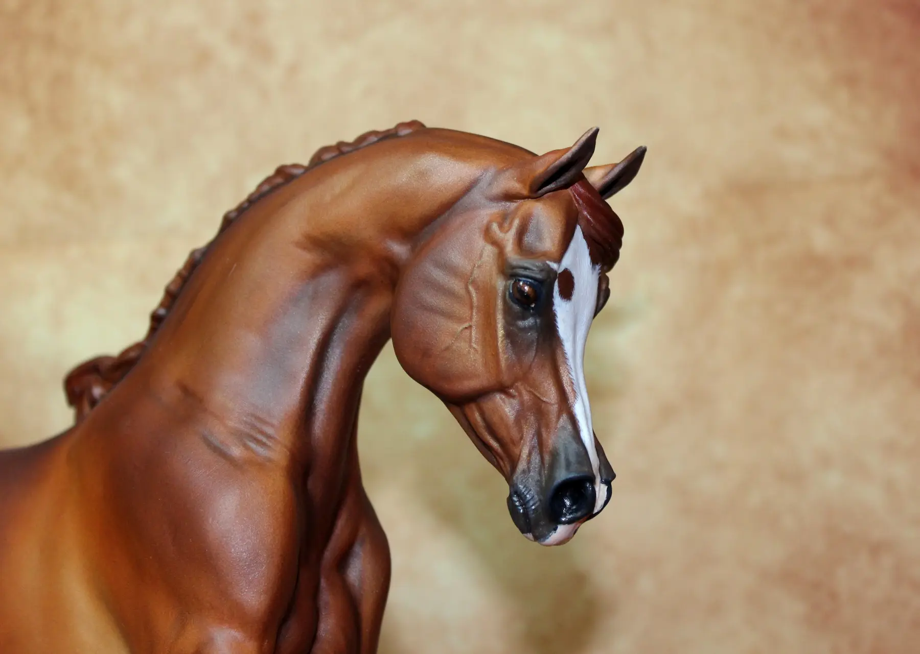 Artiste Modélisme Équin , peinture réaliste