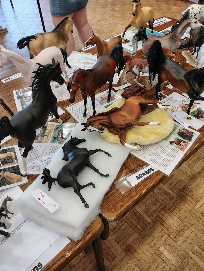 Tables des chevaux arabes lors du liveshow de modélisme équin de l'AMEC 2025
