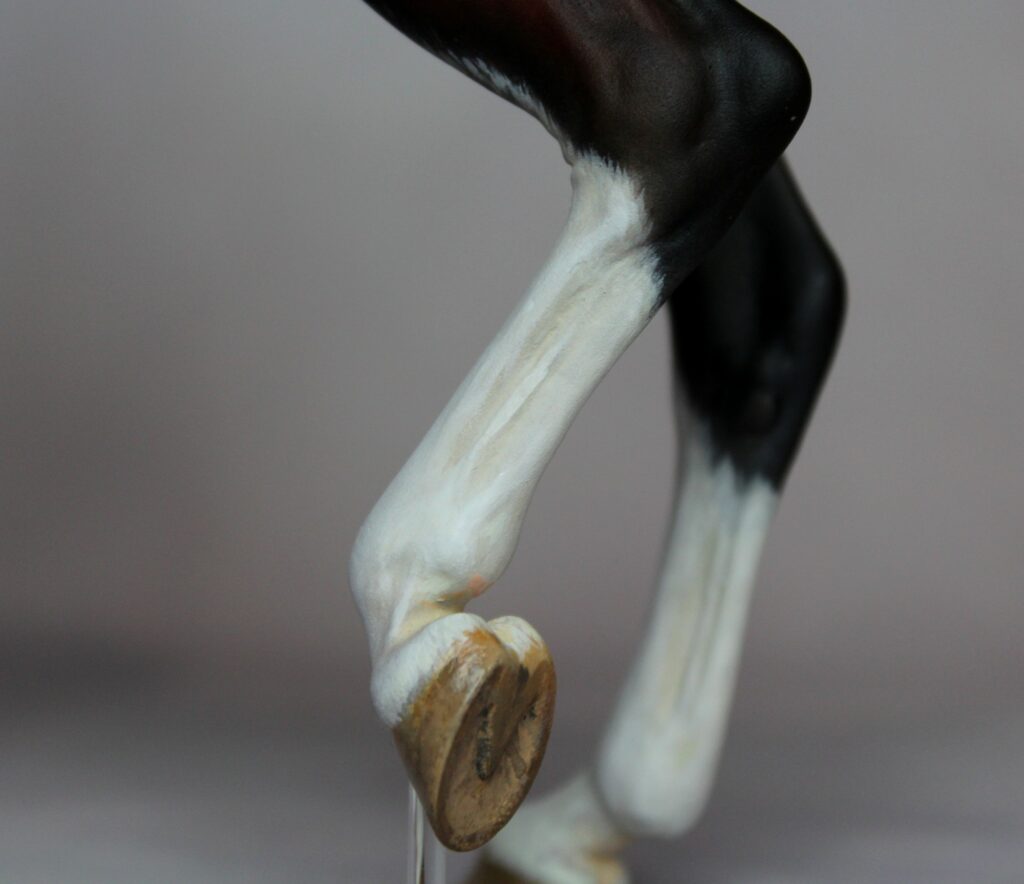 Jambes et sabots d’Eshaan d’Amghar, Marwari bai peint aux pastels et à l’acrylique par Studio Amghar