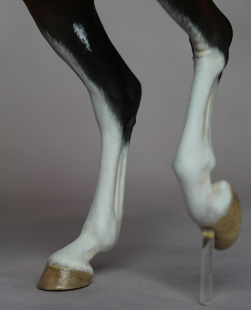 Détail des jambes d’Eshaan d’Amghar, étalon Marwari en modélisme équin peint par Studio Amghar